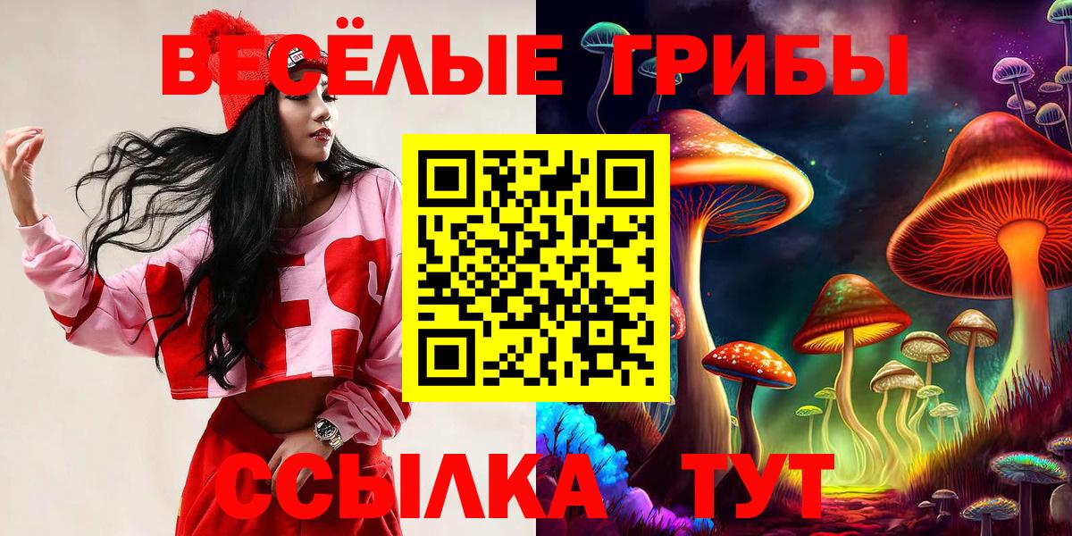 Псилоцибиновые грибы ЛСД  Галлюциногенные грибы ЛСД  Санкт-Петербург  Вход с VPN 